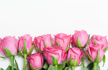 Bouquet of pink roses on a white background