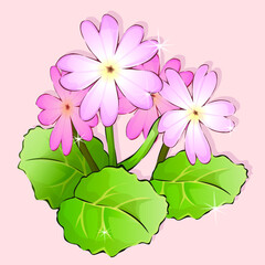 Fototapeta premium Vector frame of flowers. Vintage floral elements Isolated botanical illustration for a postcard.