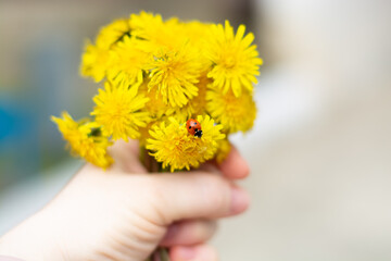 yellow flower in hand