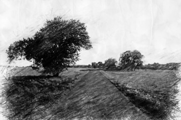 view of fields and road in pencil drawing style