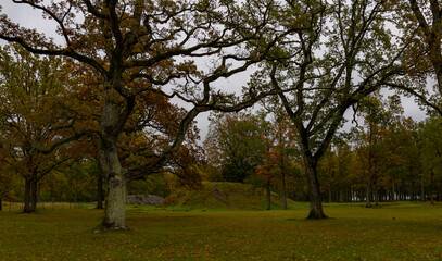 In Borre, which is located in Vestfold county (Norway), you can see 9 large and about 30 smaller burial mounds. The mounds are beautifully situated down towards the fjord in a park with large oak tree