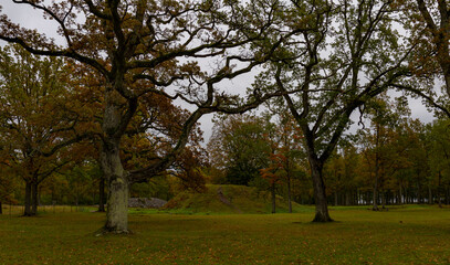 Fototapeta na wymiar In Borre, which is located in Vestfold county (Norway), you can see 9 large and about 30 smaller burial mounds. The mounds are beautifully situated down towards the fjord in a park with large oak tree