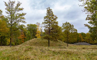 In Borre, which is located in Vestfold county (Norway), you can see 9 large and about 30 smaller...