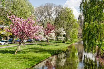 Rotterdam, The Netherlands, April 14, 2022: view along Statensingel canal in Blijdorp neighbourhood...