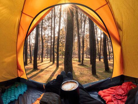 Traveler relaxing inside a tent and enjoy the view of sunset on pine forest