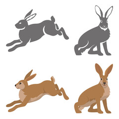 Wild hare or rabbit is jumping. Cute Bunny runs away. cute bunny is standing.