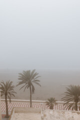 Views from the house of the beach and the promenade of Almería with fog.