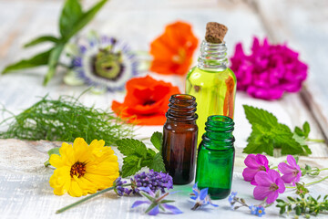 Fototapeta na wymiar Bottles of essential oils surrounded by multicolored medicinal plants.