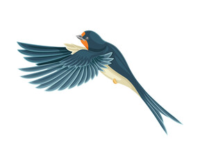 Swallow or Martin Passerine Bird with Long Tail and Pointed Wings Flying or Gliding Vector Illustration