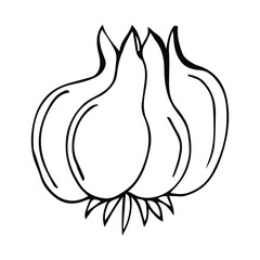 onion, food, vegetable, isolated, garlic, green, white, fresh, ingredient, plant, bulb, healthy, organic, root, raw, nature, fruit, game, healthy diet, hand-drawn, natural vegetables, page, preschool,