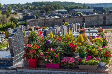 Multicolored flowered graves in a cemetery on a sunny day.