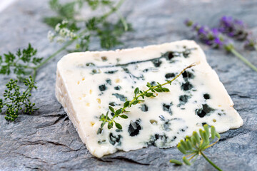 Close-up of a Roquefort (French cheese) surrounded by aromatic plants.