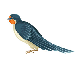 Swallow or Martin Passerine Bird with Long Tail and Pointed Wings Sitting or Perching Vector Illustration