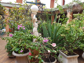 Jardim 