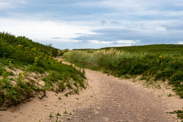 Grüne Dünenlandschaft an der englischen Küste