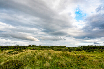 D&uuml;nengras an der englischen K&uuml;ste