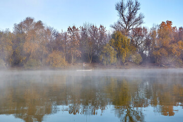 Fototapeta premium Landscape with woman rowing on stand up paddle boarding (SUP) at the morning on quiet misty autumn Danube river near yellow trees. Rural landscape in the autumn morning mist