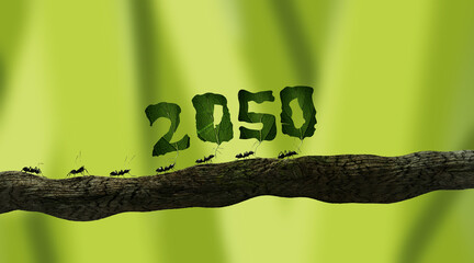 fourmis qui portent des feuilles avec les chiffres 2050 - rendu 3D - obrazy, fototapety, plakaty