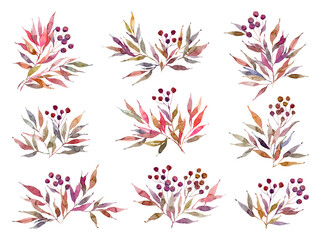 Fototapeta na wymiar Watercolor bouquets of branches with leaves and berries, Hand drawn compositions of twigs, Isolated Elements on white background, Clipart Set