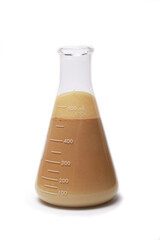 laboratory flask with liquid
