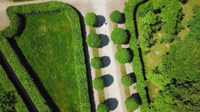 The view from the drone.Creative.A beautiful summer park with small beautifully trimmed trees and a summer road on which beautiful buildings and museums are visible and there is a young married