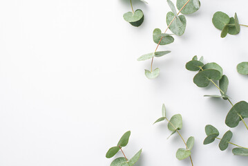 No plastic concept. Top view photo of green eucalyptus leaves on isolated white background with empty space on the left