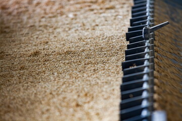 Preparing rice seeds for sowing. Sorting machine close-up photo