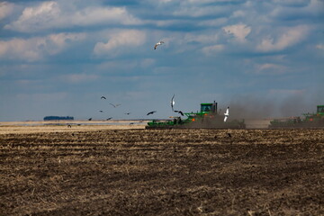 Fototapeta premium Spring sowing campaign. Tractors cultivating soil. Dust cloud and birds over the field. Blue sky, clouds