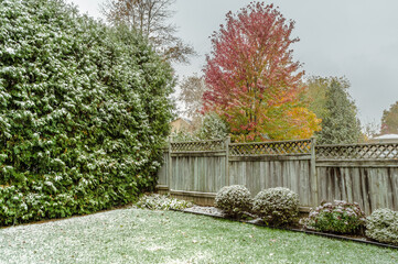 Fall snow in a backyard