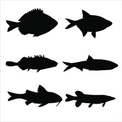 Set of black silhoette fishes on the white background.