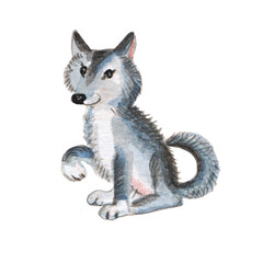 Cute dog on a white background. Watercolor illustration. Cute Husky.