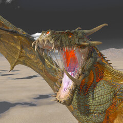 dragon on the desert after rain close up view