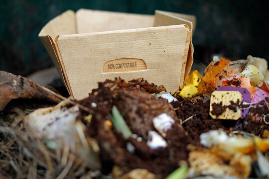 compostable and biodegradable Paper packaging