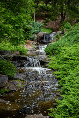 Fototapeta na wymiar Mount Coot-tha Botanic Gardens Australia Cascading Water Stream and Lush Green Plants