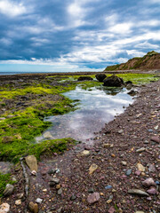 Steinige Felsenlüste am Meer mit Moos