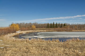 Pylypow Wetlands in the Early Spring