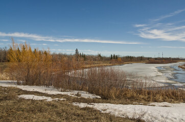 Fototapeta na wymiar Pylypow Wetlands in the Early Spring