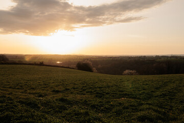 Obraz premium Green field country side during sunset