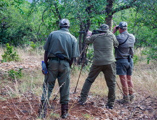 Shooter is hunter,  huntsman or PH and tracker before shooting trophy on the hunt.