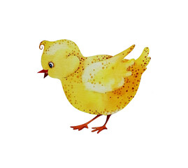 The fluffy yellow chicken is looking for grains. Watercolor.