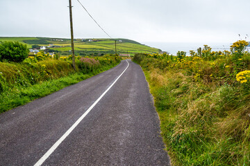 Fototapeta na wymiar wild atlantic way - Strasse in Irland