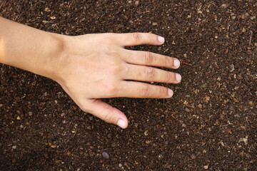 Human hands. A fertile soil background used for growing plants.
