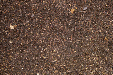 Fertile soil background is used for growing plants.