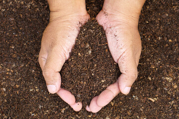 Fertile soil is used for growing plants in human hands.
