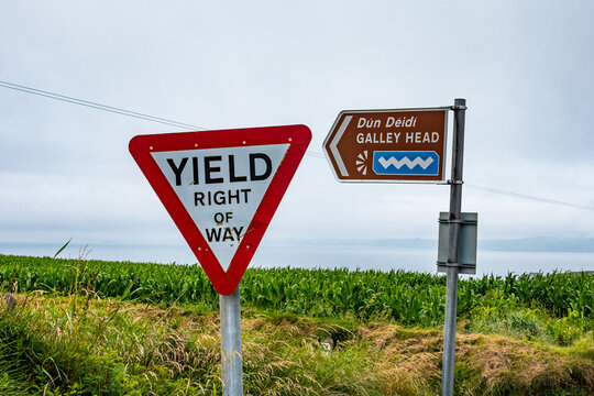 Yield Right Of Way - Wild Atlantic Way