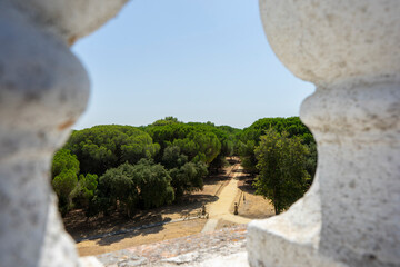 pinar desde balcón © MiguelAngel