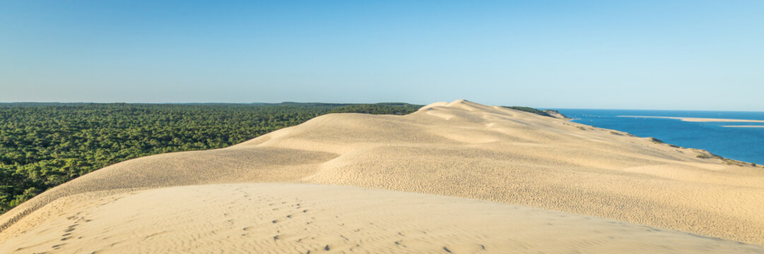 Panoramic view of the Dune of Pilat, the highest in Europe, on a summer day on the Arcachon bay