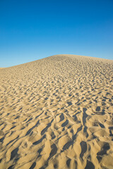 Sand of the Dune of Pilat in La Teste-de-Buch, France on a summer day with blue sky