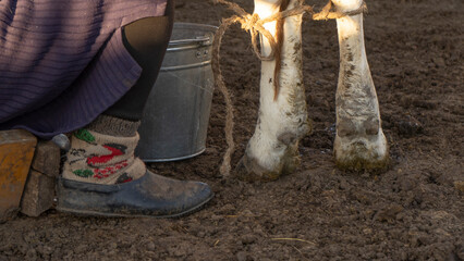 Boots of a shepherd woman