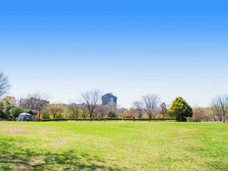 春の公園広場